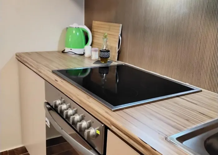 Cozy Centrally Located For Up To Three Or Four Guests Family 10 Min Walk From Center Tirana